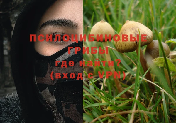 тгк Абинск